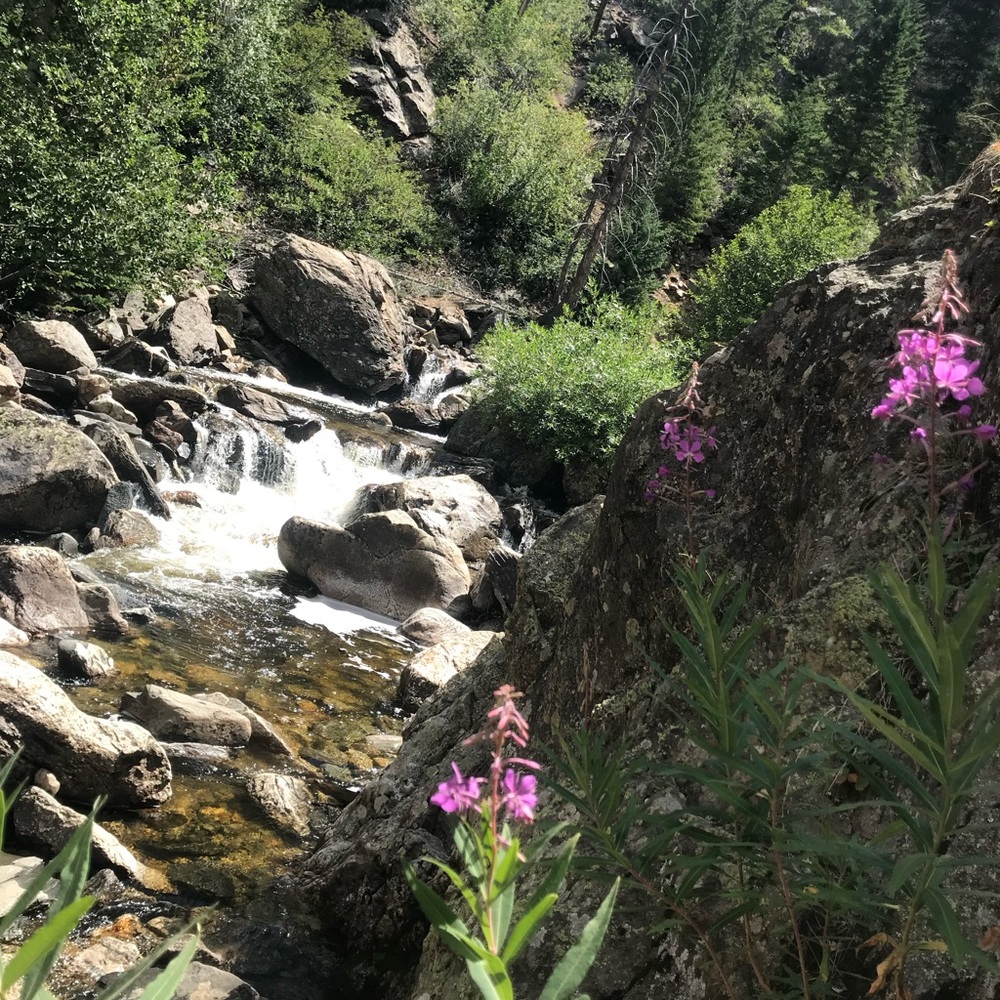 Meet your Posher, Emma